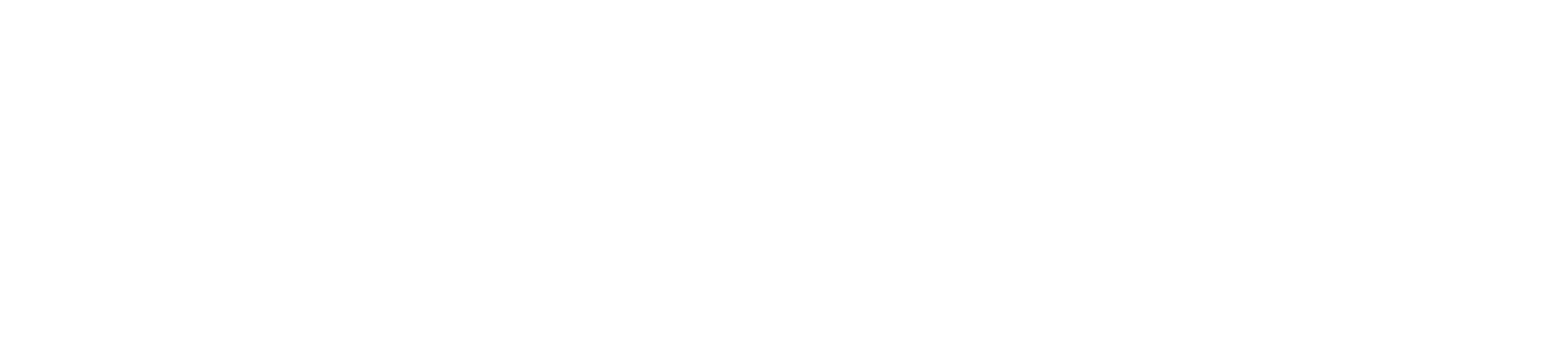 Ricus Group | Your Security Experts|CCTV|Fencing